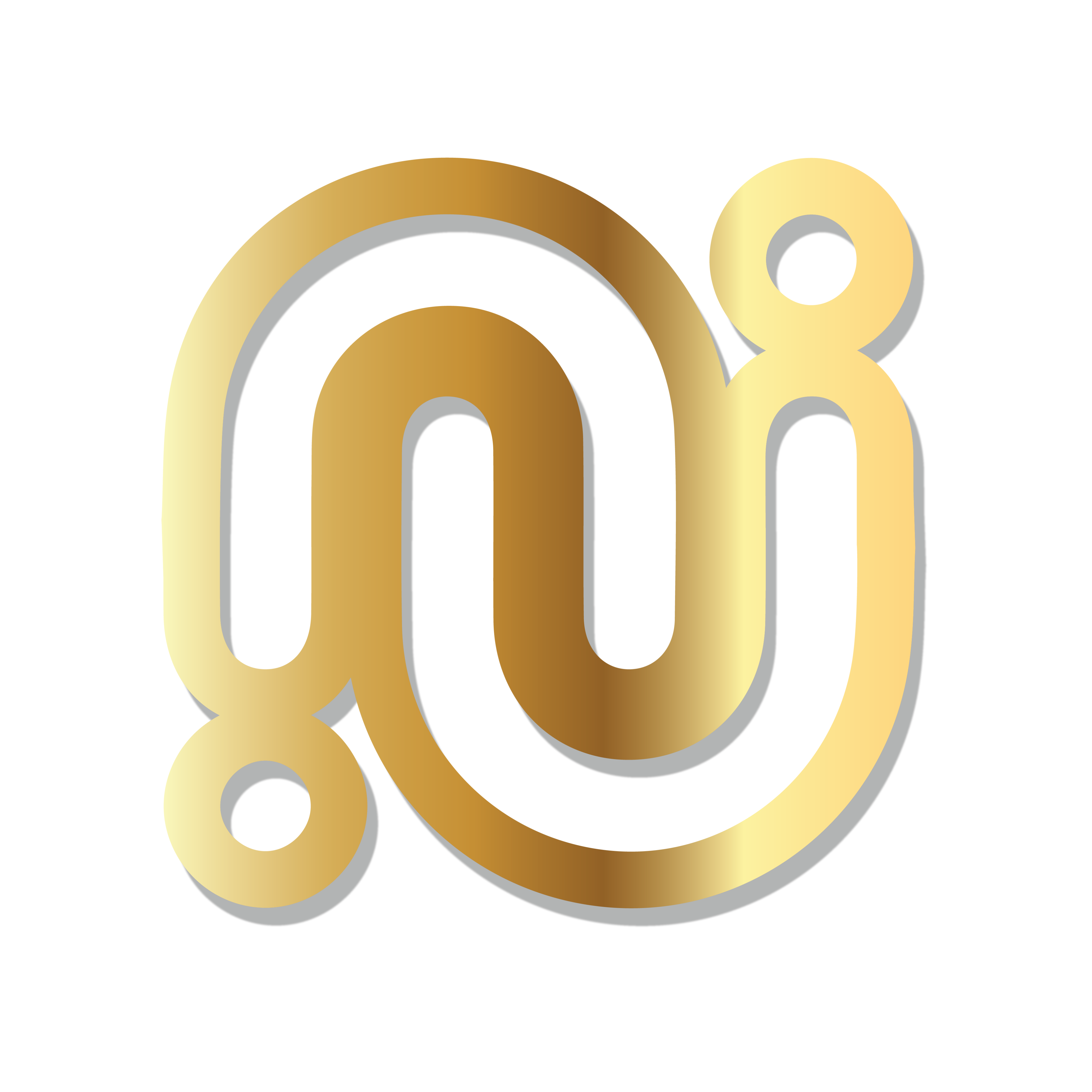 netidhub Logo
